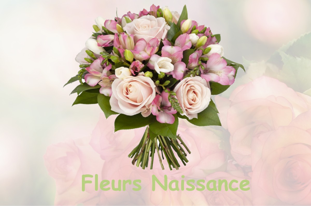 fleurs naissance FRESNAY-SUR-SARTHE